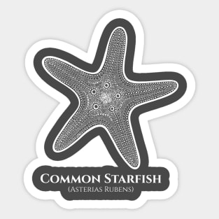 Common Starfish with Common and Latin Names - animal drawing Sticker